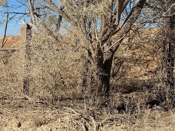 Highway 6/cr #240, Lueders, TX 79533