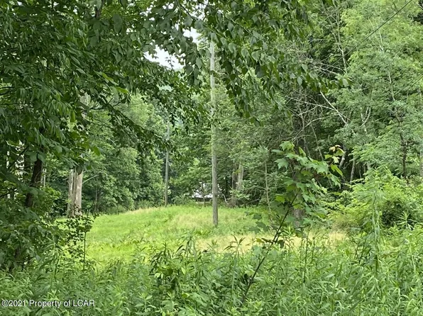 Hunlock Harveyville Rd, Shickshinny, PA 18655