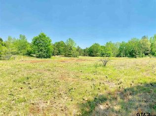 0 County Road 196, Flint, TX 75762