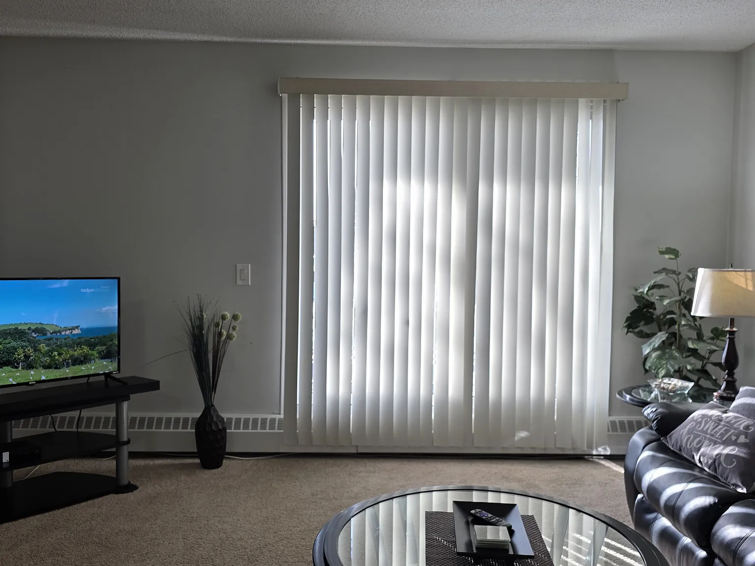 1 bed, 630 sqft, $1,895 — Photo 3