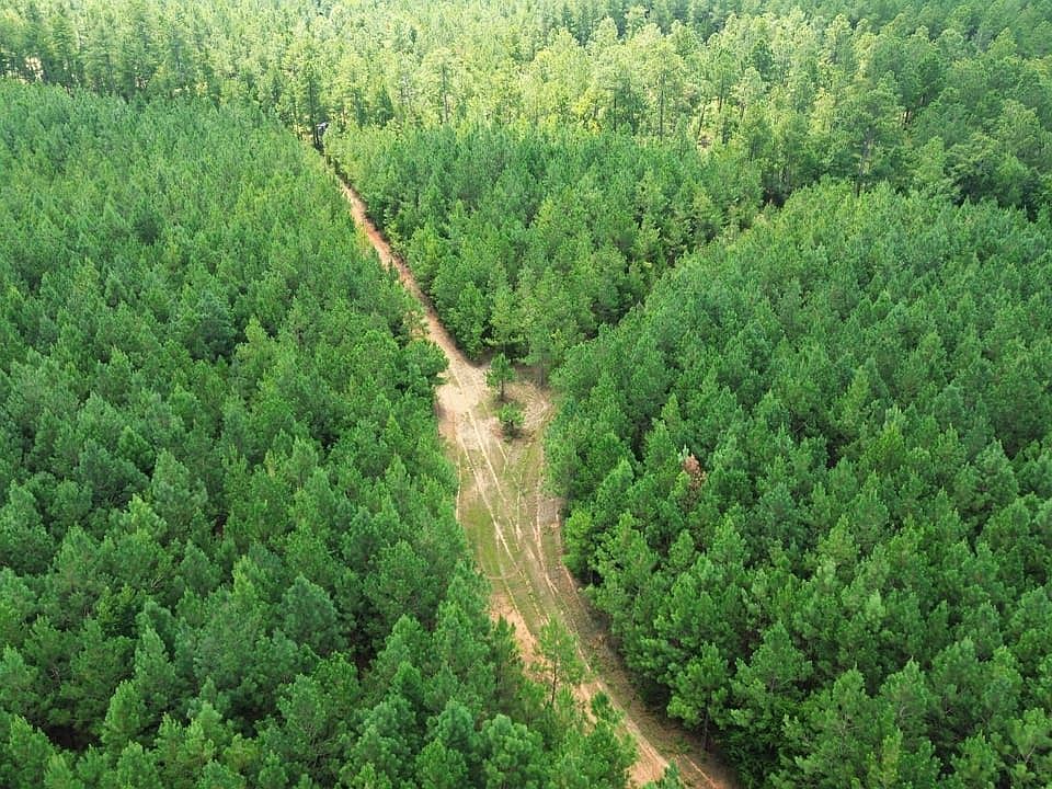 Dji 0176