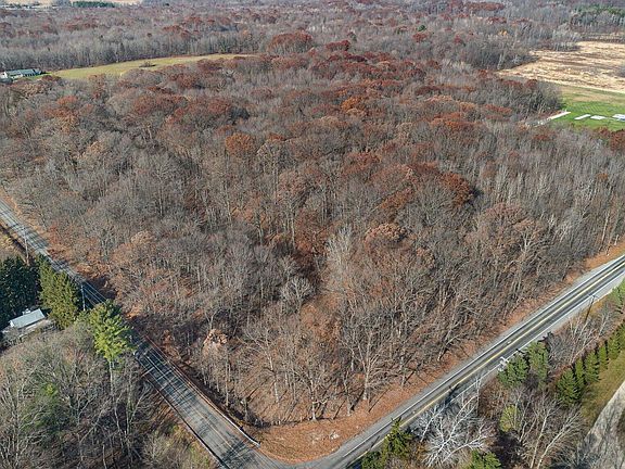 3rd image of Three Oaks Rd