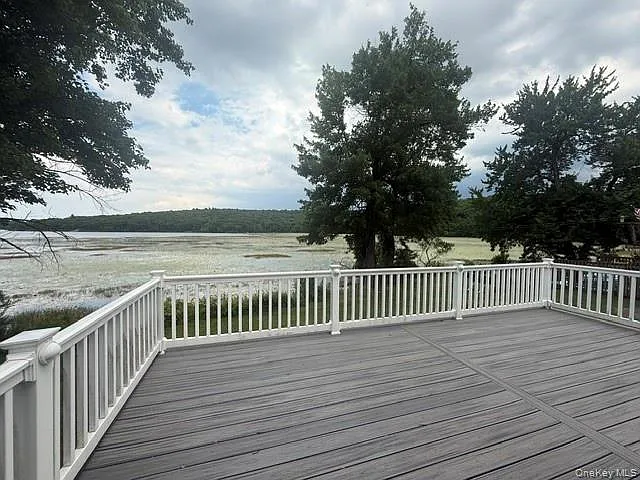 86 W Mombasha Rd — Photo 16