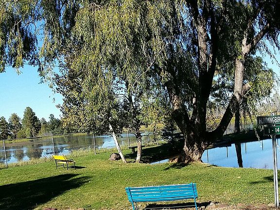 Pond on Park property