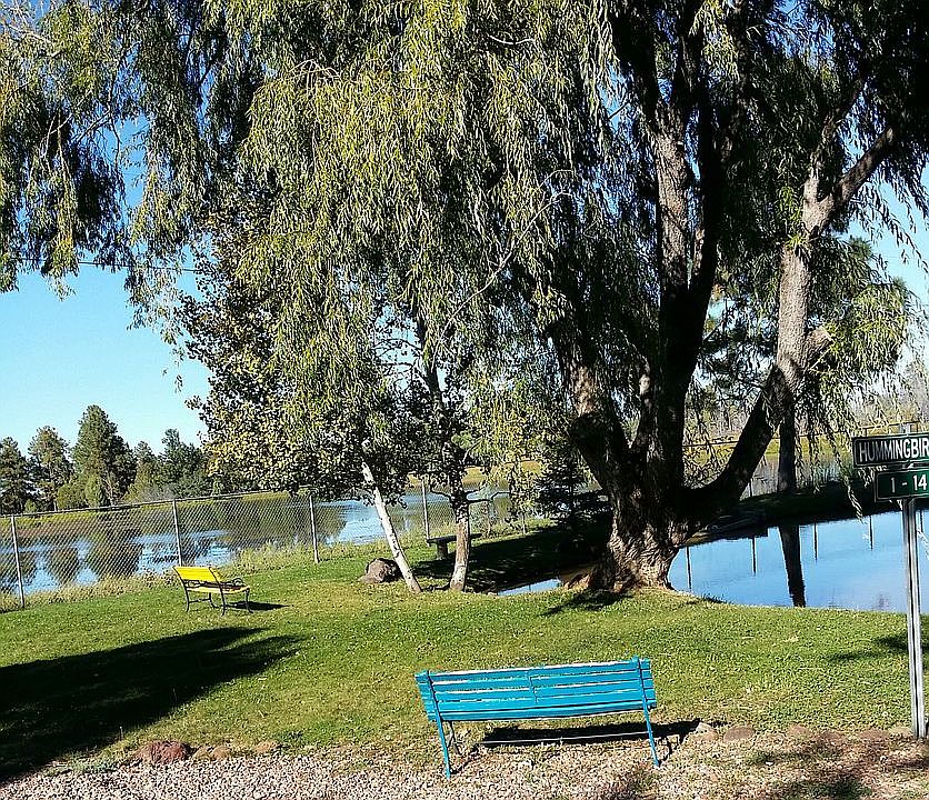Pond on Park property
