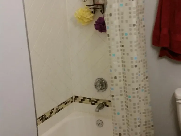 Shower with tub