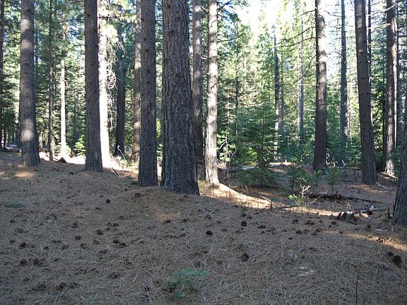 3rd image of 43 Foresthill Rd