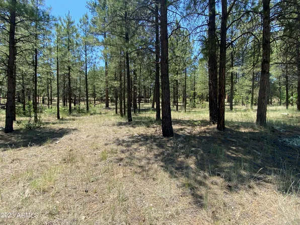 2476 APACHE Drive #565, Happy Jack, AZ 86024