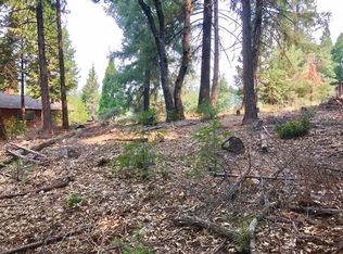 6450 Topaz Dr, Pollock Pines, CA 95726