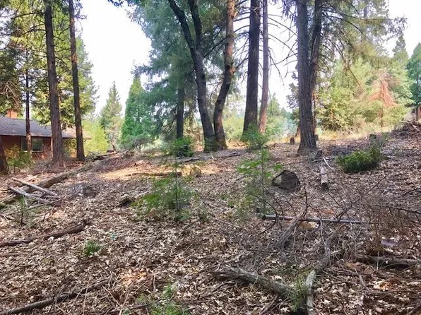 6450 Topaz Dr, Pollock Pines, CA 95726
