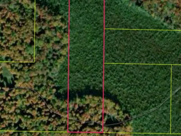 N Sharon Rd SE, Kalkaska, MI 49646