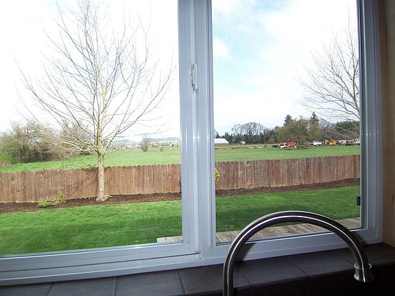 view from kitchen sink
