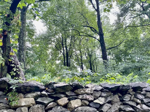 Blueridge Mountain Rd Lot 2, Bluemont, VA 20135