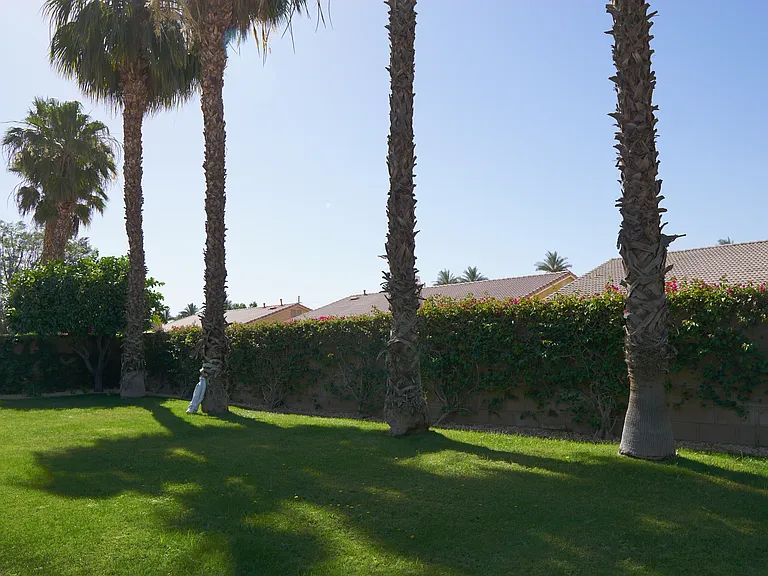81367 Avenida Camelia — Photo 37