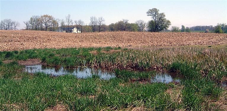 2nd image of Bachman Rd