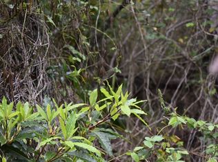 Tiki Ln LOT 15, Ocean View, HI 96737