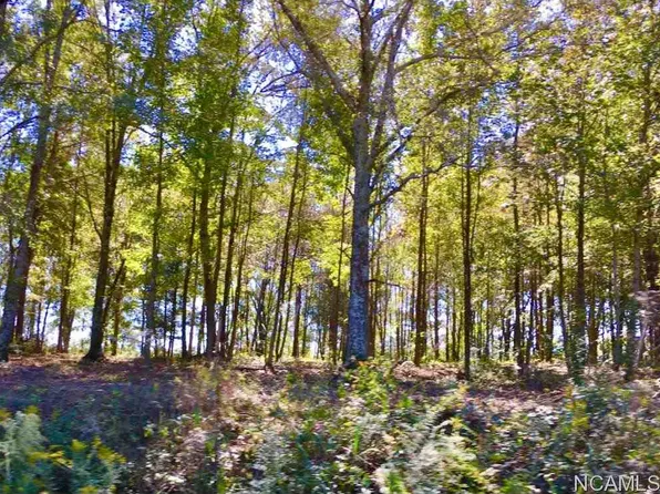 4271 County Road 1669, Cullman, AL 35058