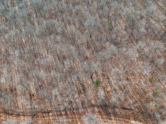 3rd image of 0 Pigpen Hollow Rd Lot 36