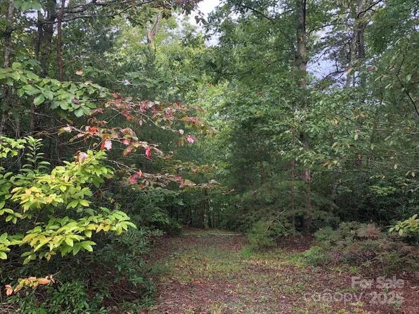81 N Mill Rdg, Nebo, NC 28761
