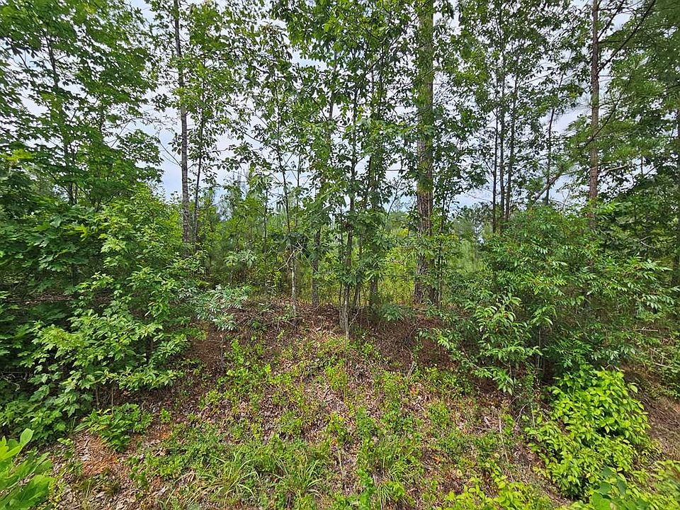 1st image of 671 Penlan Rd #1