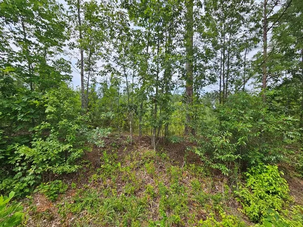 671 Penlan Rd #1, Arvonia, VA 23004