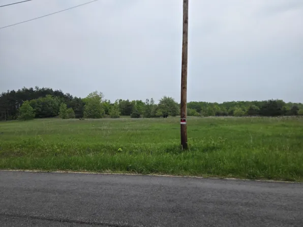 0 S Durkalic Rd, Pellston, MI 49769