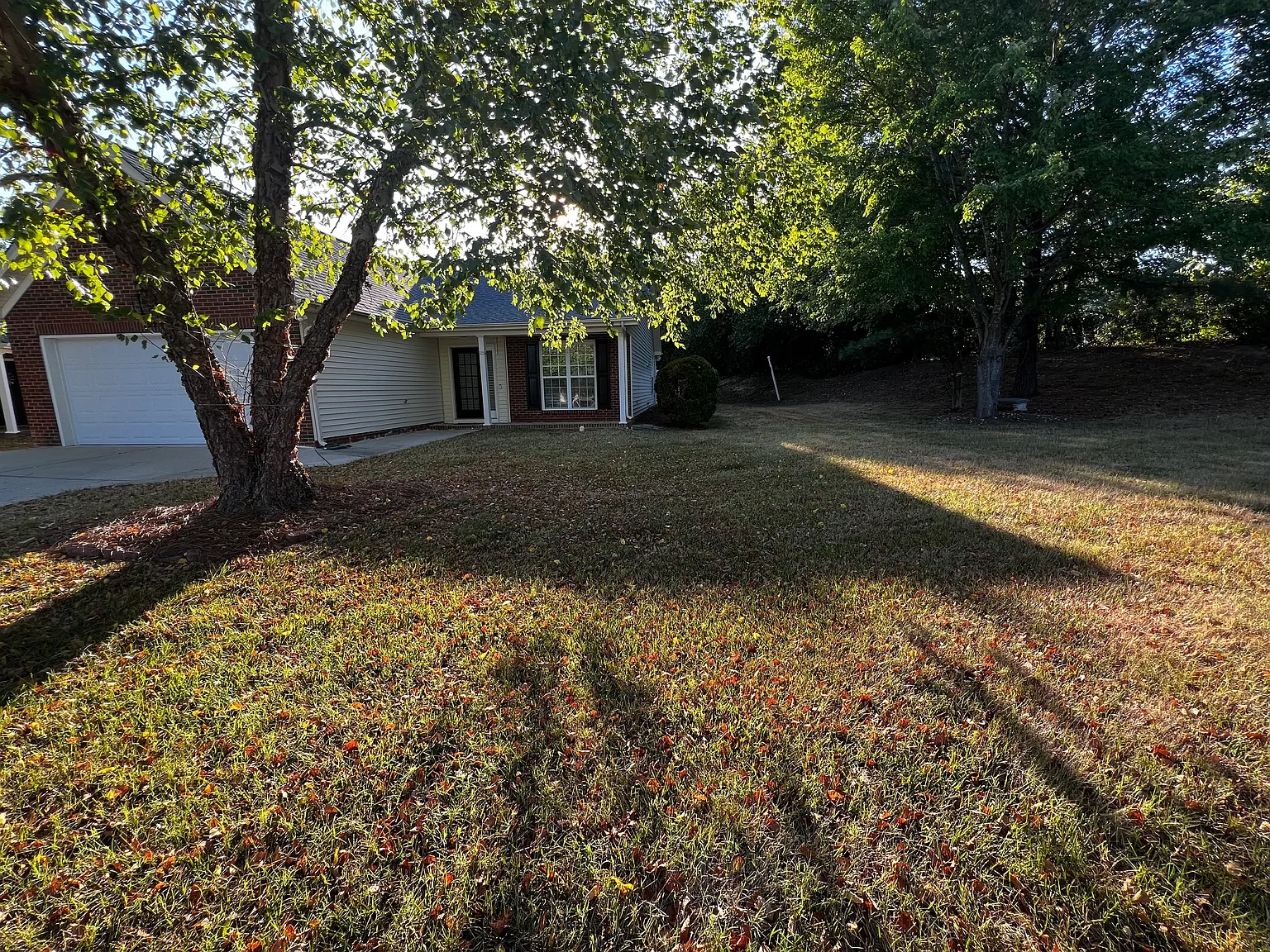 3 bed, 1546 sqft, $2,300 — Photo 2