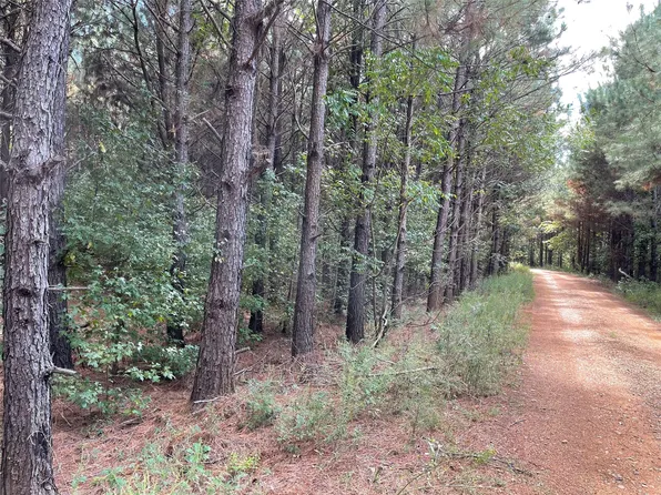 0 Chalybeate Springs Rd, Plain Dealing, LA 71064