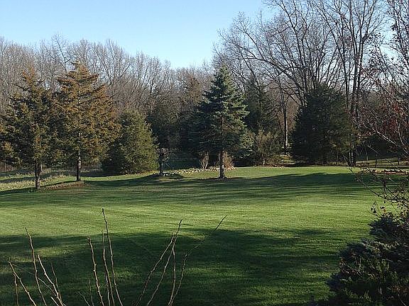 Side yard.