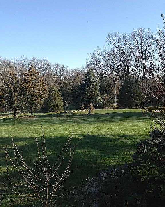 Side yard.