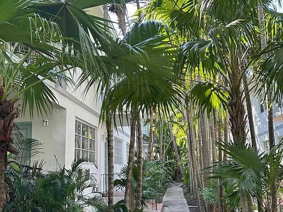 Lush tropical landscaping