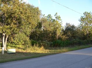 39 Vinca St, Homosassa, FL 34446