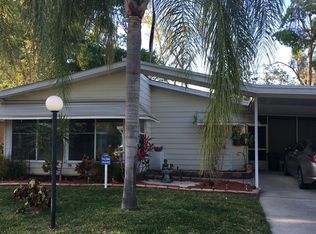 19 Misty Falls Dr, Ormond Beach, FL 32174