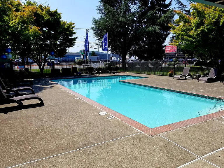 Cool Off In the Pool