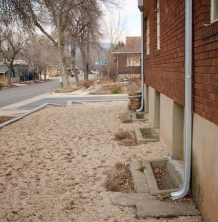 Side view of xeriscaped yard