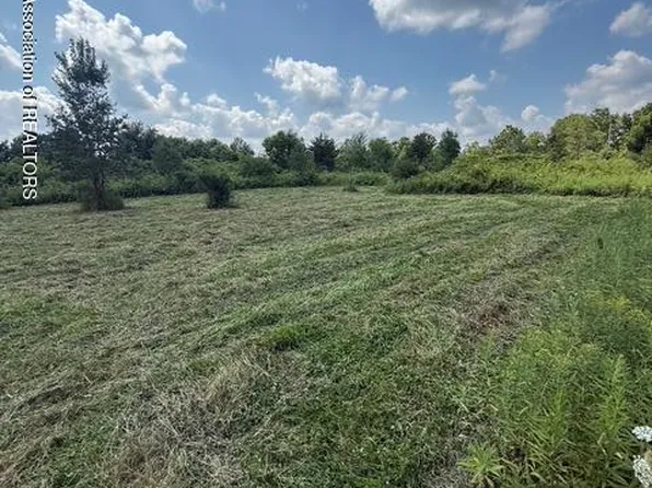 0 Hall Rd, Bellevue, MI 49021