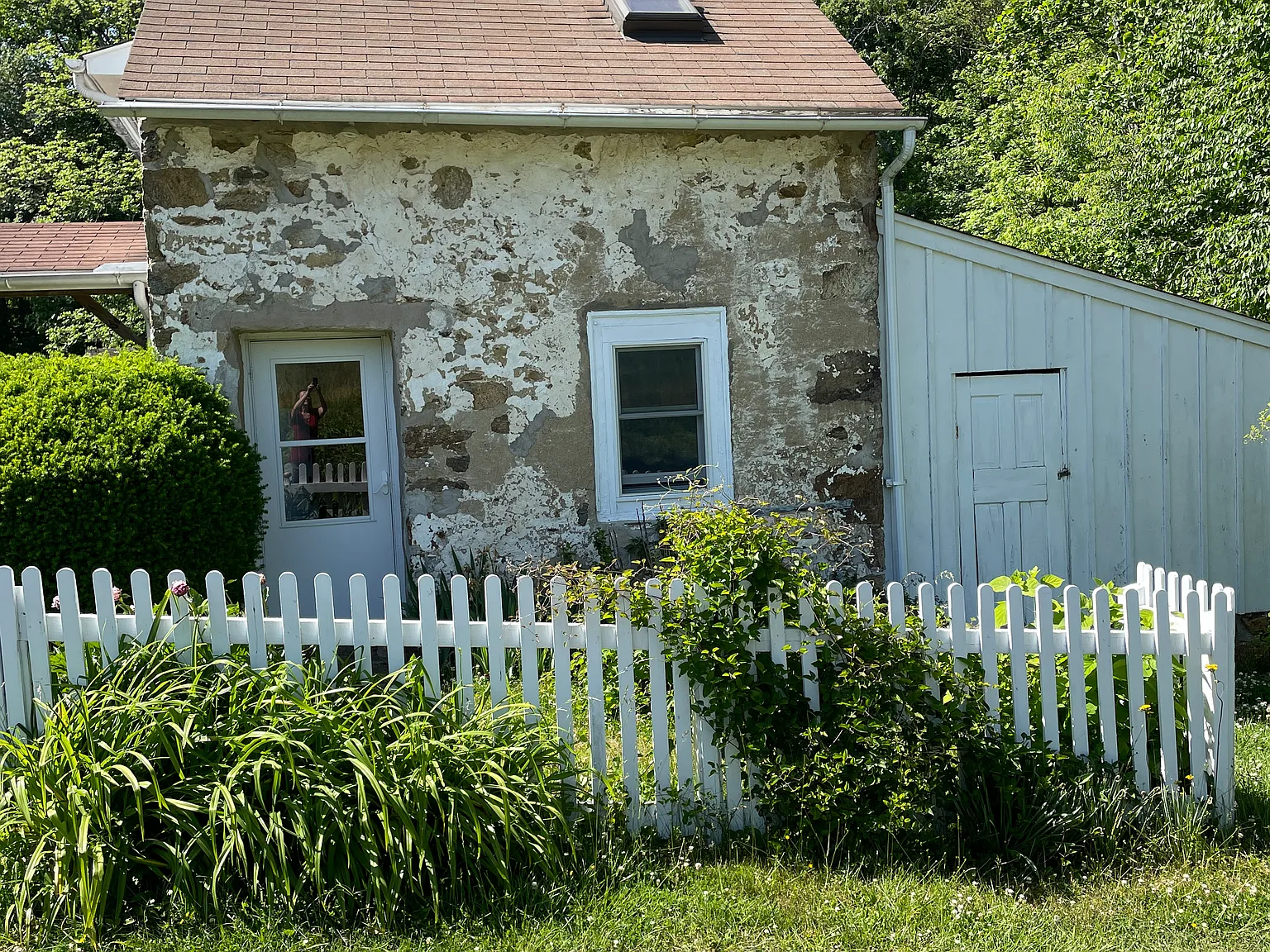 1 bed, 800 sqft, $1,600 — Photo 1