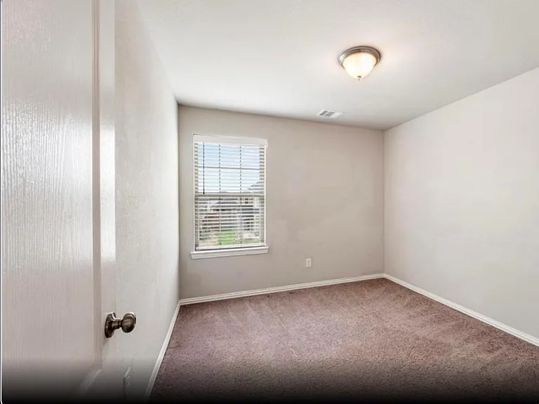 31314 Spotted Saddle Holw — Photo 12