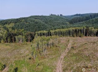 0 Cedar Creek Road, Oakville, WA 98568