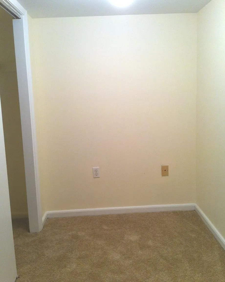 2 bed, 535 sqft, $3,600 — Photo 4