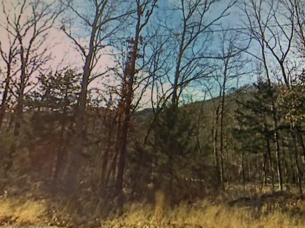 W Pine St #40, Rogers, AR 72756