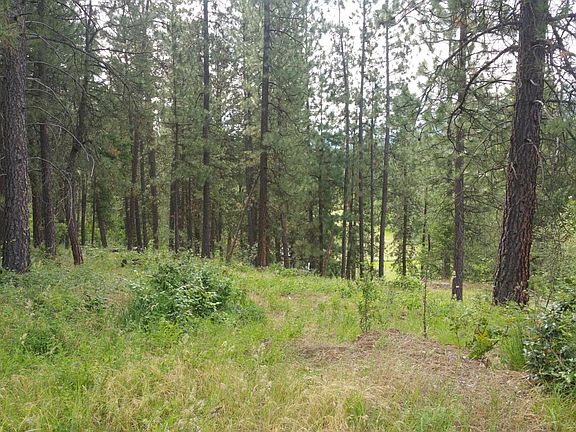 2nd image of 1763 Highway 395 S #I