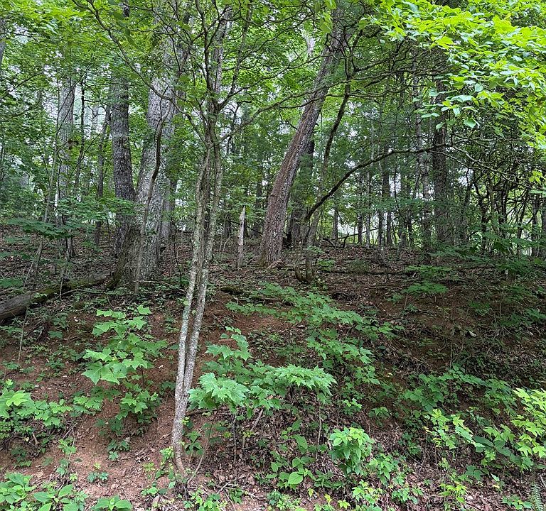 2nd image of 38 Winding Way Dr