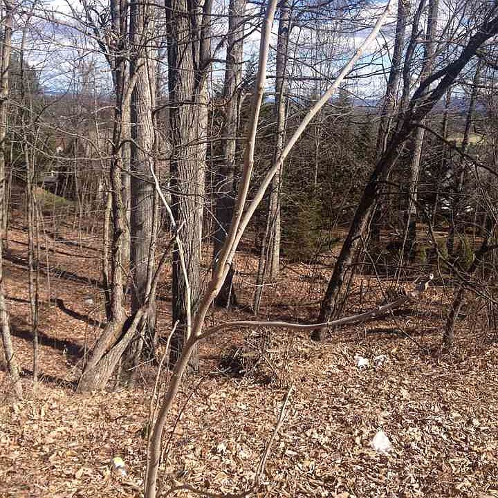 2nd image of 179 Blue Stone Hills Dr
