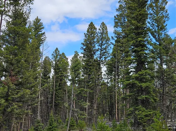 0 Bear Gulch Rd, Lincoln, MT 59639