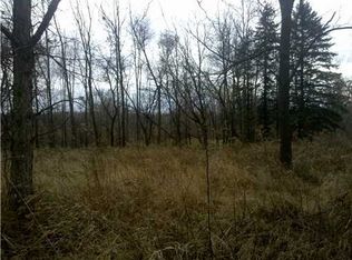 W Mount Hope Hwy, Mulliken, MI 48861