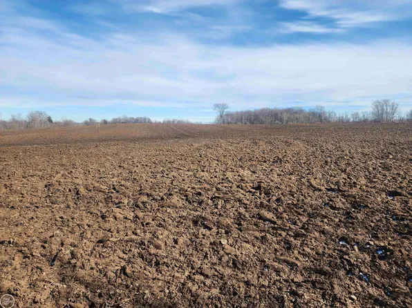 4750 E Snover Rd, Carsonville, MI 48419