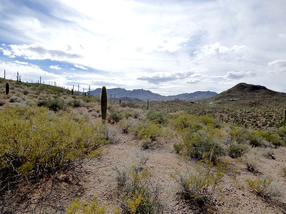 1st image of 5891 W El Camino Del Cerro