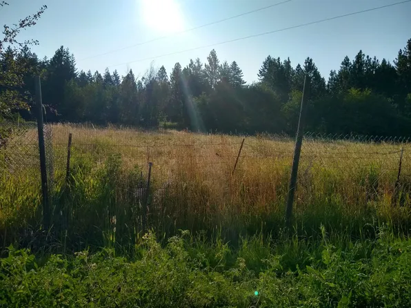 8711 E Orchard Bluff Rd, Chattaroy, WA 99003