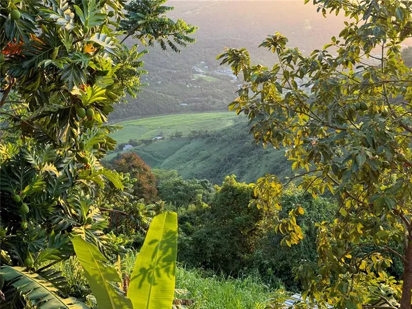 State Highway 173 Km #5.9, Cidra, PR 00739